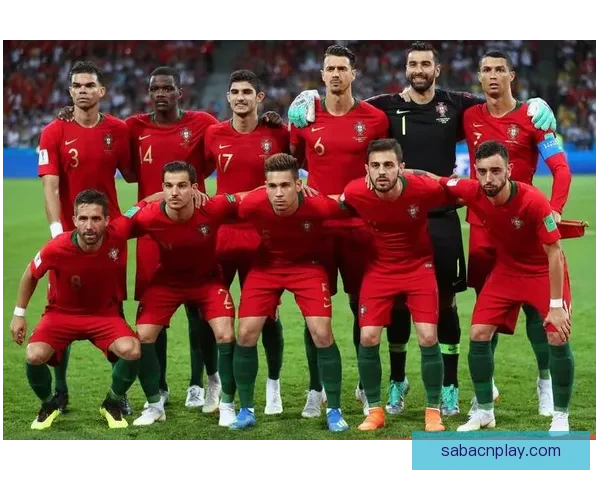 世界杯竞猜平台下载助你轻松预测赛事结果畅享精彩足球盛宴